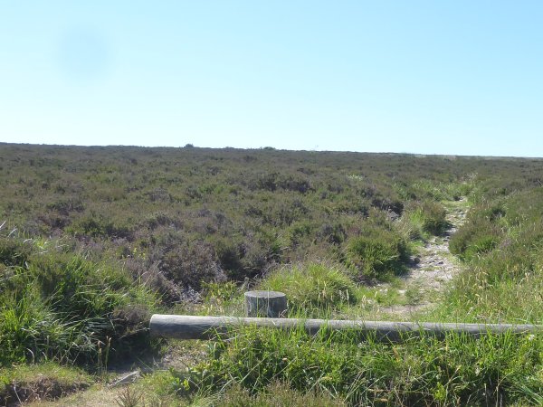 #Exmoor #Walk 
DUNKERY BEACON 
#Somerset 

Photos from <a href="/SomersetSG/">SomersetSocialGroup</a> <a href="/MineheadSG/">Minehead SocialGroup</a> <a href="/TauntonSG/">Taunton Social Group</a> 
SOMERSET SOCIAL GROUP 
03456 121 770