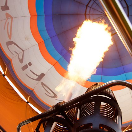 Vernon Intveld tweet media