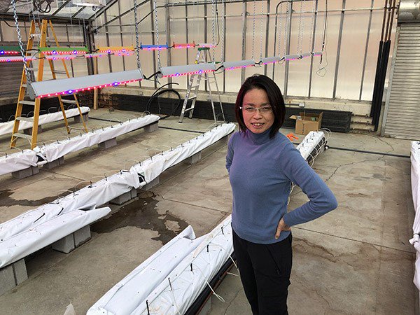 What are the production and training issues facing controlled environment agriculture growers? urbanagnews.com/blog/exclusive…