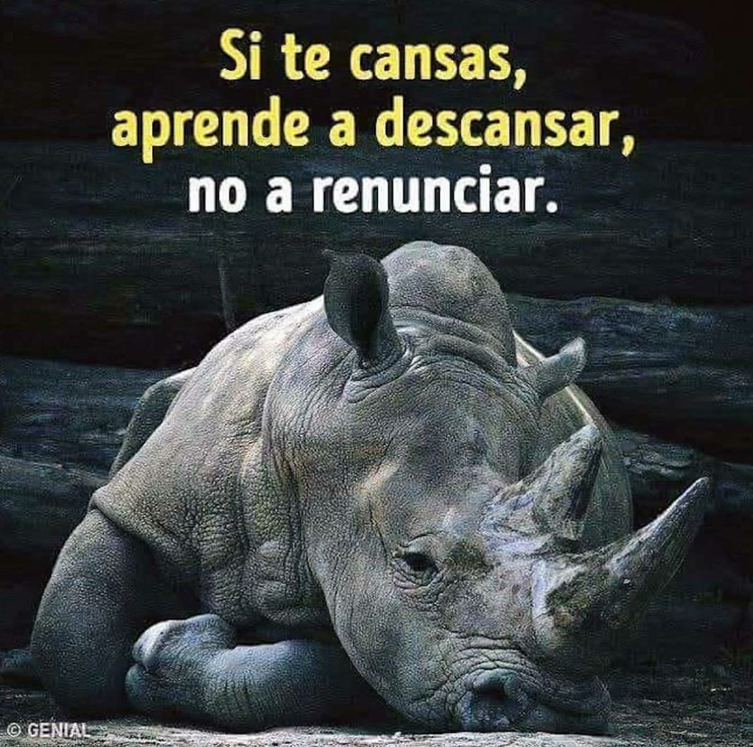 macapumu4384's tweet photo. Buenos días...
#FelizMiércoles https://t.co/GYxMef0pKA