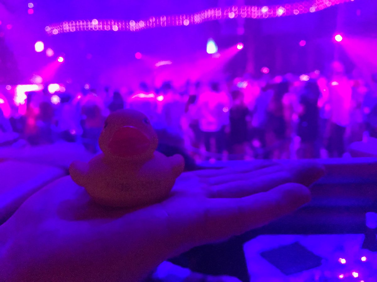 KevinMeredithAG's tweet photo. Party duck ⁦@OmniaLasVegas⁩  ⁦@NigelFrank⁩ #DinotheDick https://t.co/jAER4sAPu6