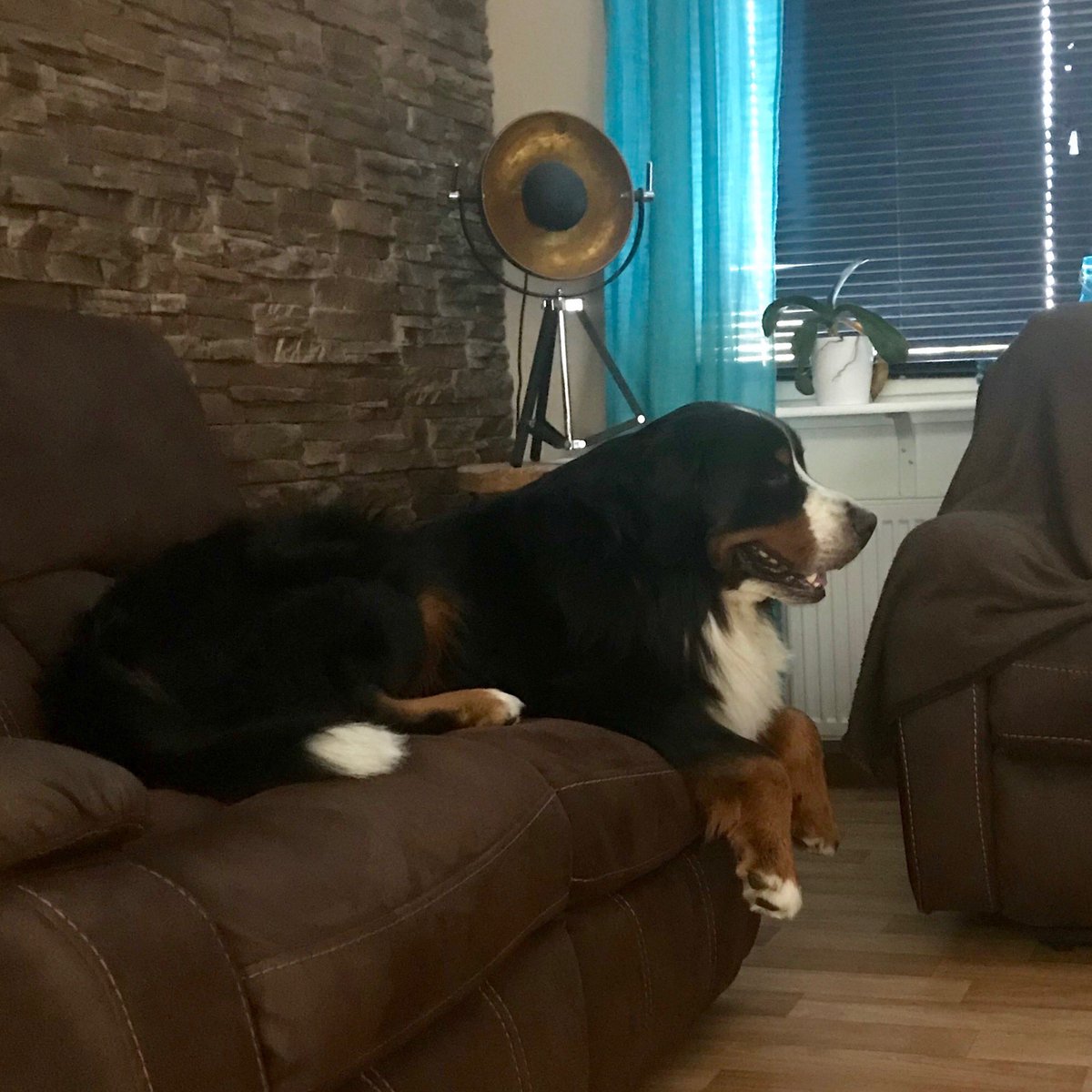 odaz333's tweet image. #Wiktor