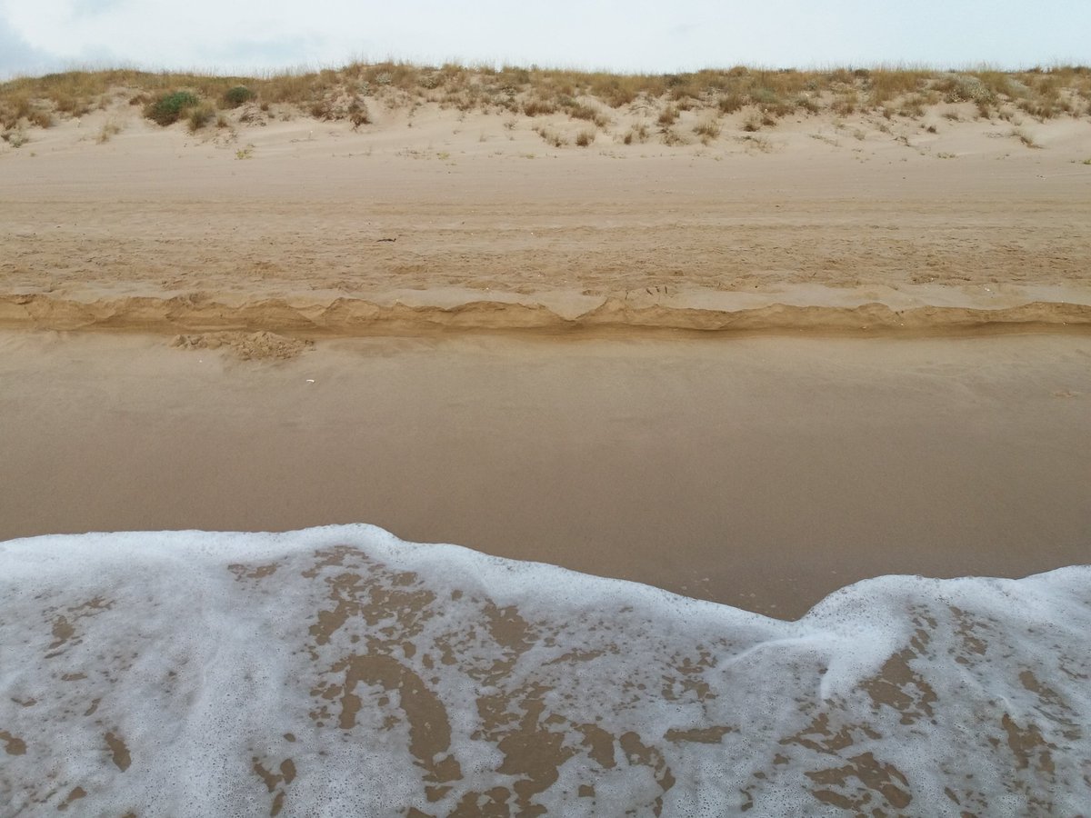 MRElectrique's tweet image. Bon dia. 💙
#Mareny