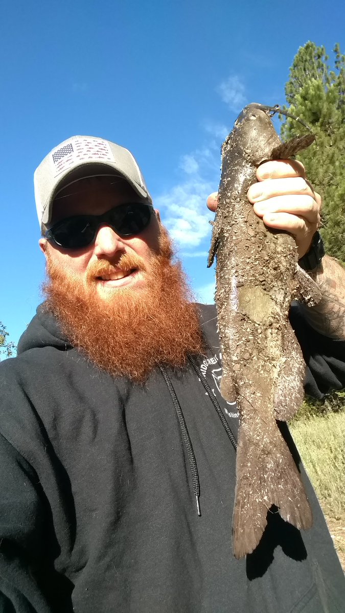 GrimFishing's tweet image. @BioSpawnLures did you know your vilecraw catches channel cats in a lake? Haha