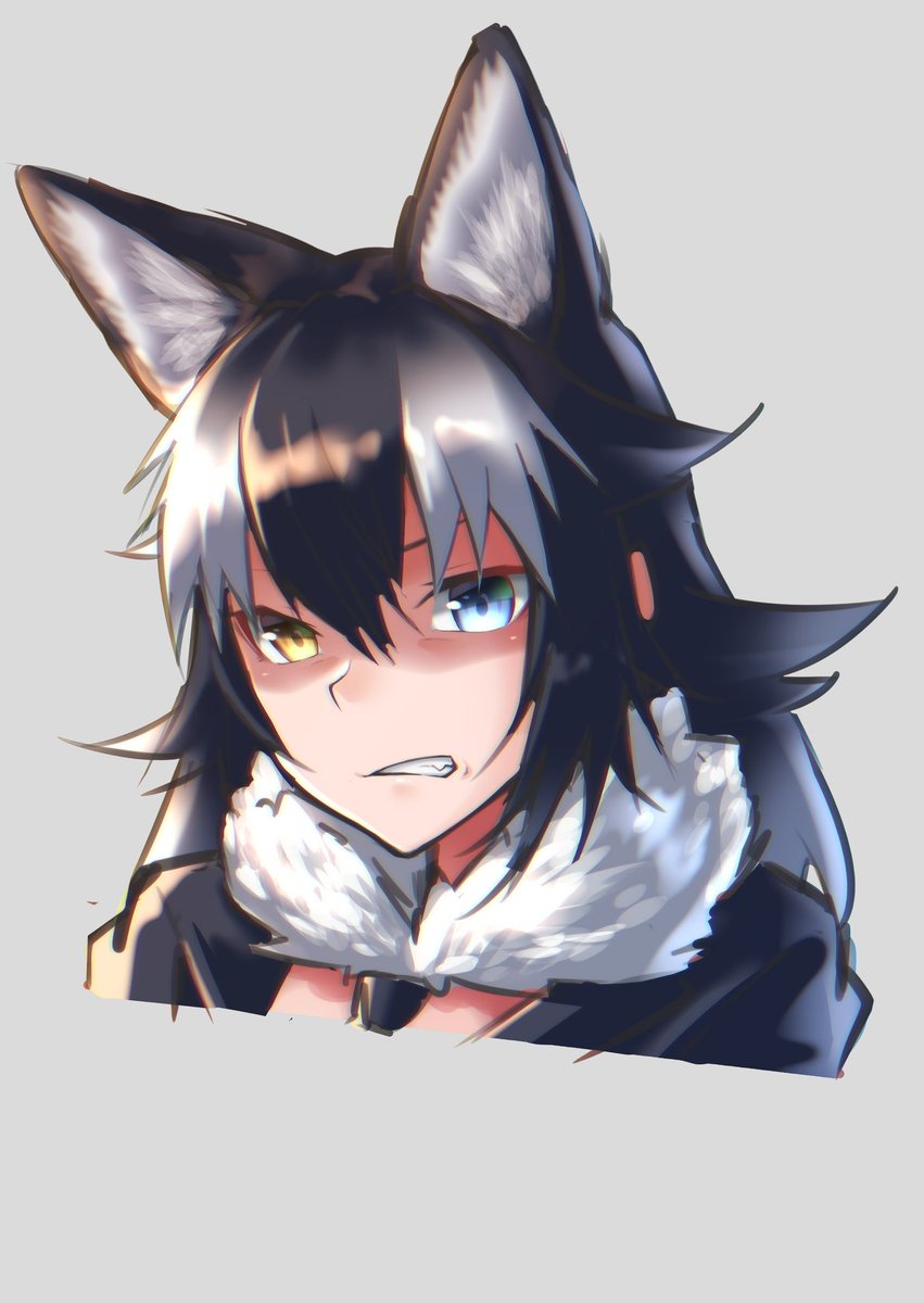 タイリクオオカミ(けものフレンズ) 「機嫌の悪い先生
#けものフレンズ  #けもフレ 」|亜熊@お絵描きしますのイラスト