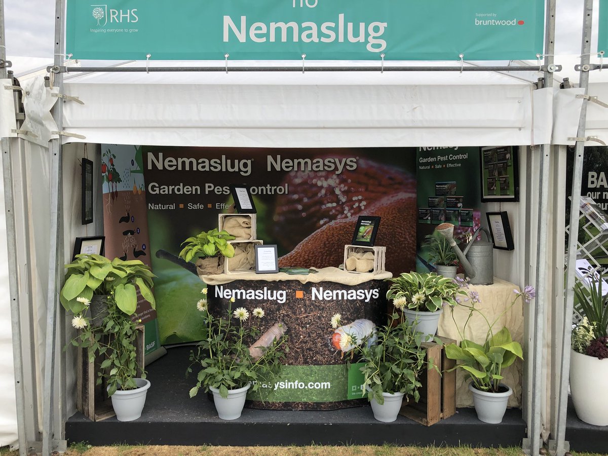 Nice and early for start of first day <a href="/The_RHS/">The RHS</a> #RHSTatton <a href="/BASF_Nemasys_UK/">Nemasys Beneficial Nematodes</a> <a href="/HelenPest/">HelenPest</a> #nemaslug #vineweevil