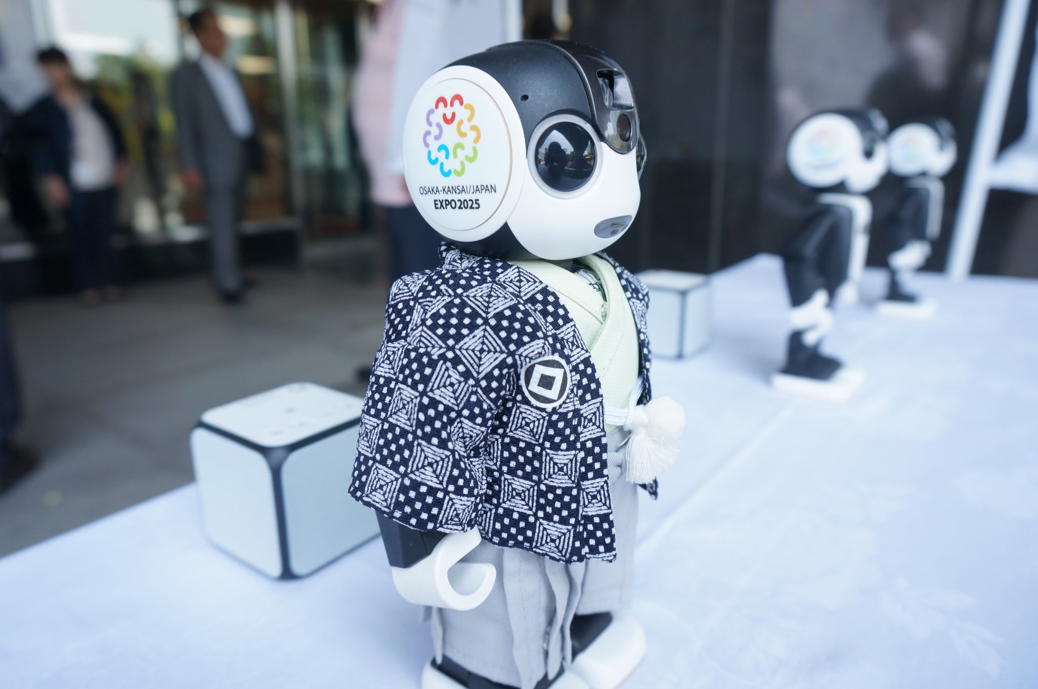 DiXxDHIU0AUKRQK.jpg:large