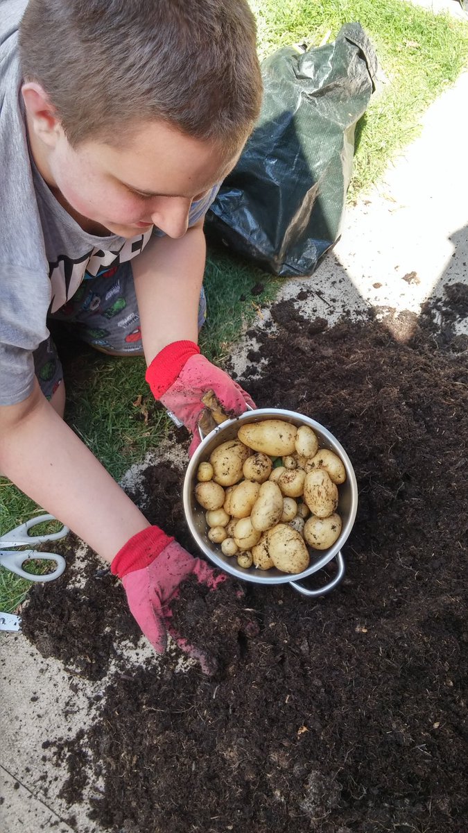 LinBadd64's tweet photo. Can you see me now Lord Solely? Growing my own food, examining crystals &amp; using bezier curves. Can you do this? #HomeEdInSight https://t.co/z5sx2SnluS