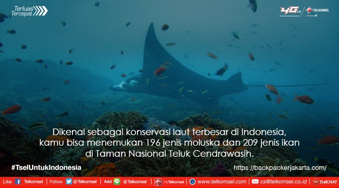 Telkomsel On Twitter Siapa Sih Yang Tidak Jatuh Cinta