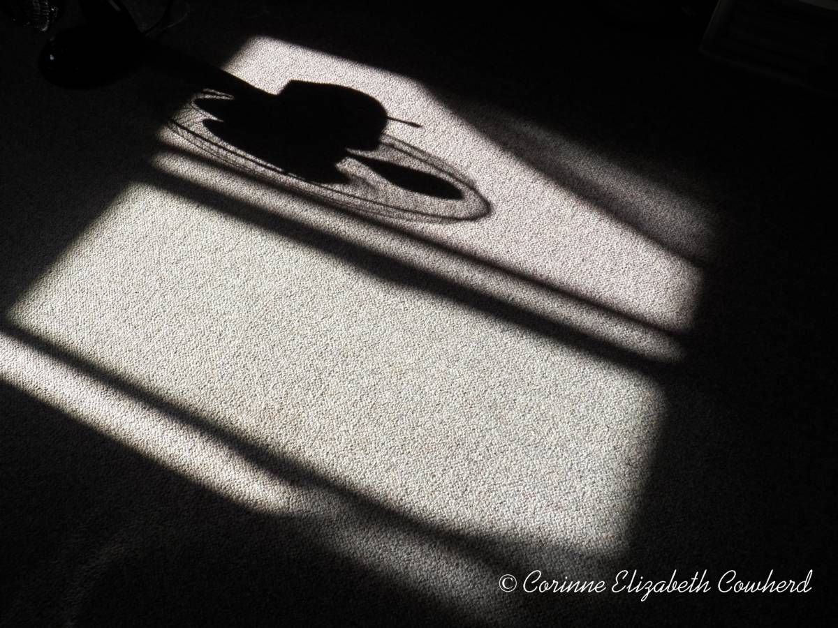 corinnephotos's tweet photo. Fan Shadow, because why not...
*
#corinnephotgraphsandprints #fan #shadow #fanshadow #whynot #openwindow #coolingoff #odd https://t.co/XIRvAkkSxd