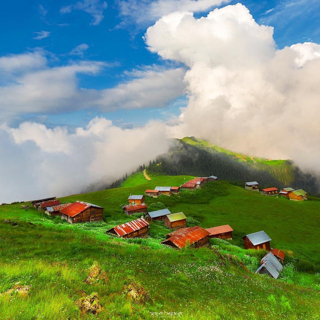 🌧 Tur Gurmeleri Sal Yaylası 🍁
Çamlıhemşin'den 1,5 – 2 saat süren bir araç yolculuğuyla ulaşılabilen Sal Yaylası Pokut'tan yaklaşık 15 dakikalık bir yürüyüş mesafesiyle ulaşılabilmektedir
🌲
#Rize #Çamlıhemşin #PokutYaylası  #SalYaylası #TurGurmeleri
