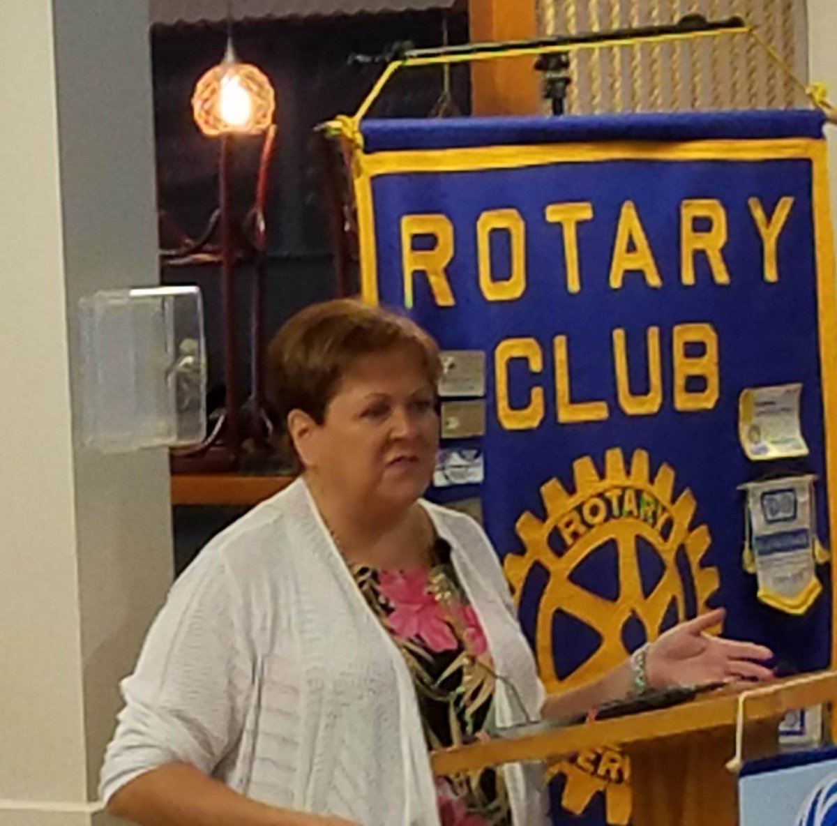 Part of the "Village to Village" Network aimed to keep aging Seniors in their homes, Mountain Neighbors Network offers support resources in Transylvania Co.