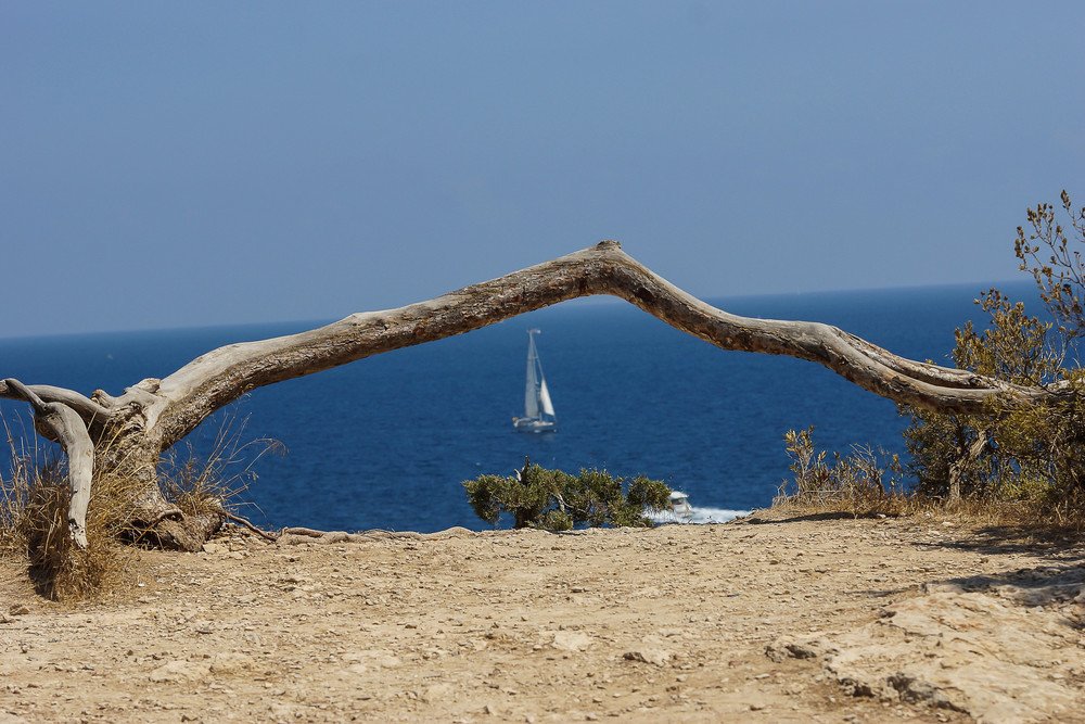 Wit_Auto's tweet image. ¡Más #rutas en #coche para #escaparte este #verano! Disfrútalas con uno de nuestros #coches que tenemos a la venta. ¡Prepara tu plan para el verano!
 motorpasion.com/otros/17-rutas… #cochessegundamano #rutasencoche #vacaciones