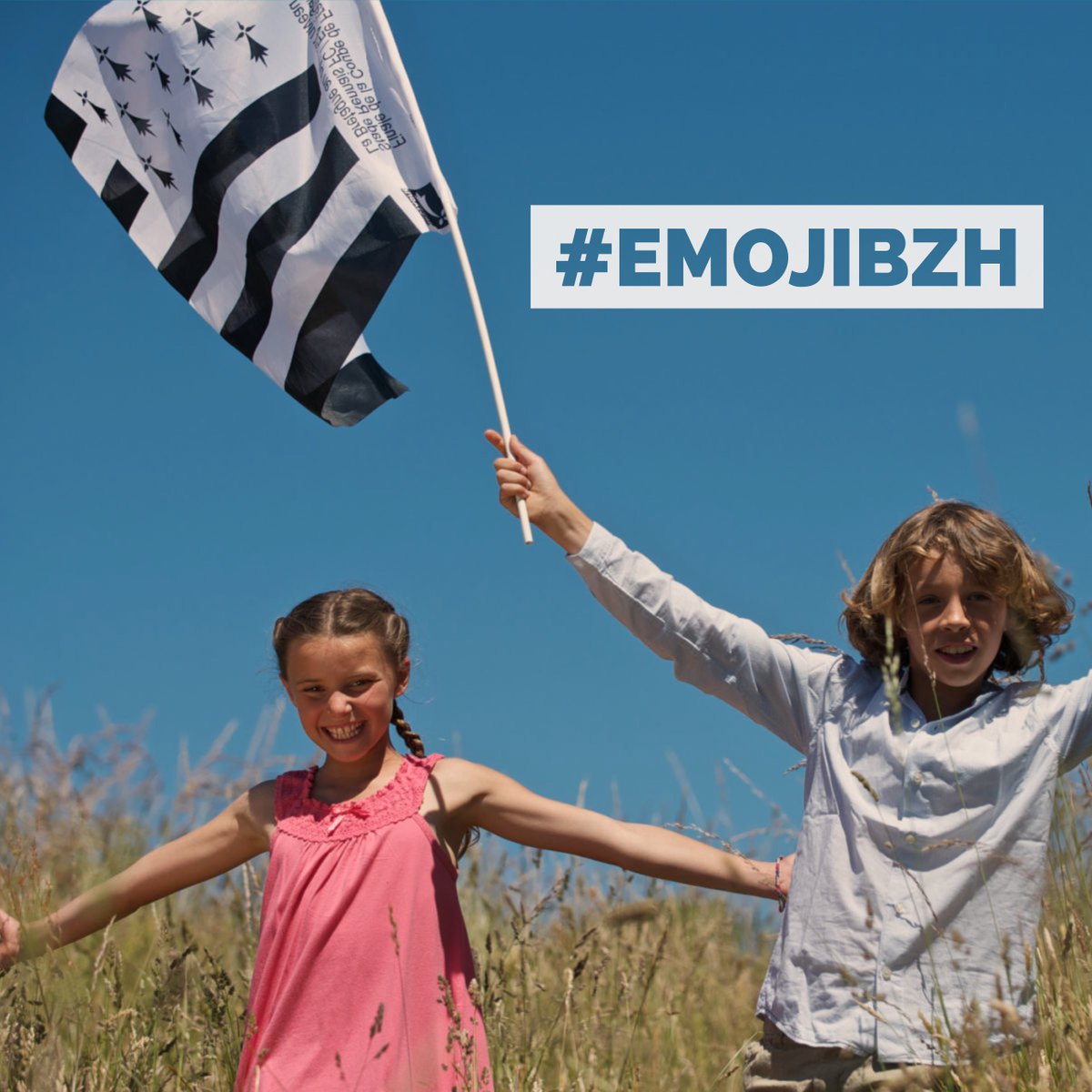 Vous aussi vous êtes fan du Gwenn-ha-du ? Alors on compte sur vous pour signer et relayer la pétition et ainsi retrouver notre drapeau sur vos téléphones et ordinateurs ! 😉 emoji.bzh  #emojibzh #WorldEmojiDay