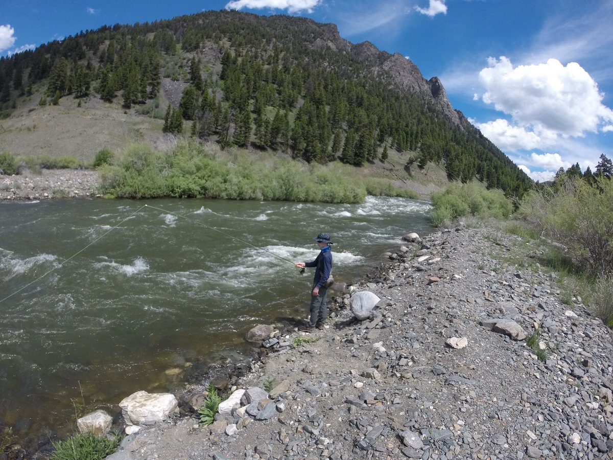 mark1sanders's tweet photo. A on the Madison. #montana #madisonriver #cameronmontana #slideinn #FlyFishing https://t.co/XnC1EPfMda
