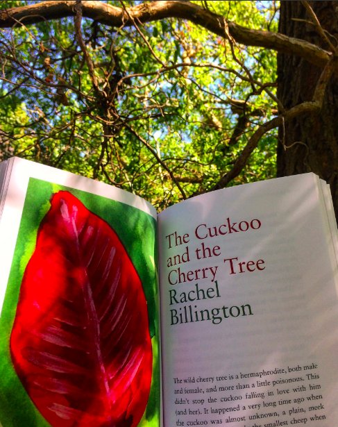 _indiebooks's tweet photo. escape to the country for just 99p with the abridged version of #WhyWillowsWeep https://t.co/S8gznU5HyD #goodreads #bookishescapes #summerreads #summersolstice #TracyChevalier #TheWoodlandTrust #backtonature https://t.co/5KFf8pvVwL