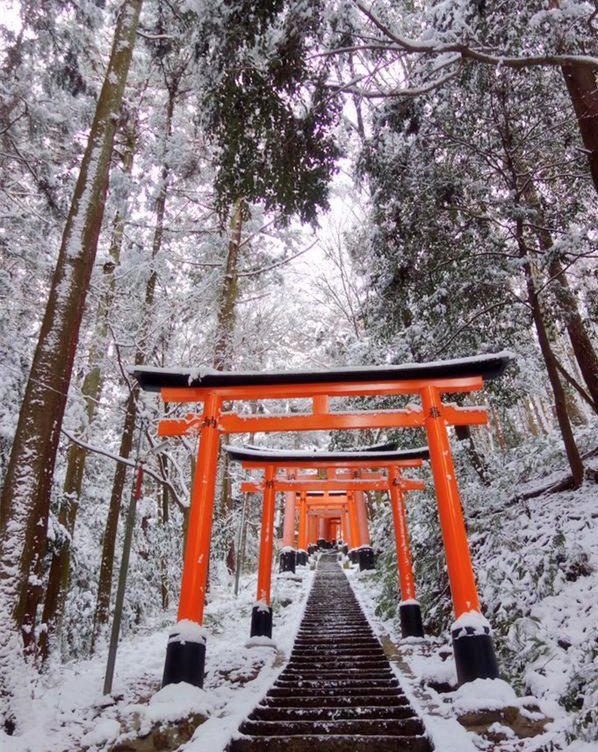ActoppJapan's tweet photo. #暑いので涼しげな画像貼る

海と雪😊 https://t.co/w1chD2VMxz