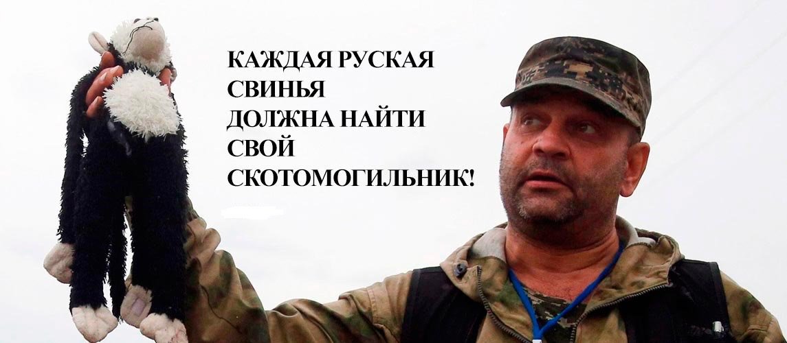 Прокуратура Нідерландів відмовилася коментувати свідчення Цемаха у справі МН17 - Цензор.НЕТ 7340