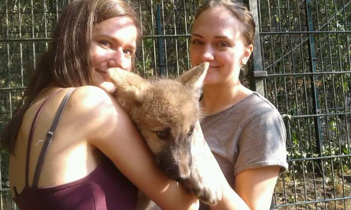 Praktikum im Tierpark Petersberg?
Eine tolle Hilfe für uns und ein unvergessliches Erlebnis für euch.
Wir freuen uns drauf! 

Telefon 034606 20229
Email: foerderverein-petersberg@t-online.de
oder einfach persönlich vorbeischauen ;)