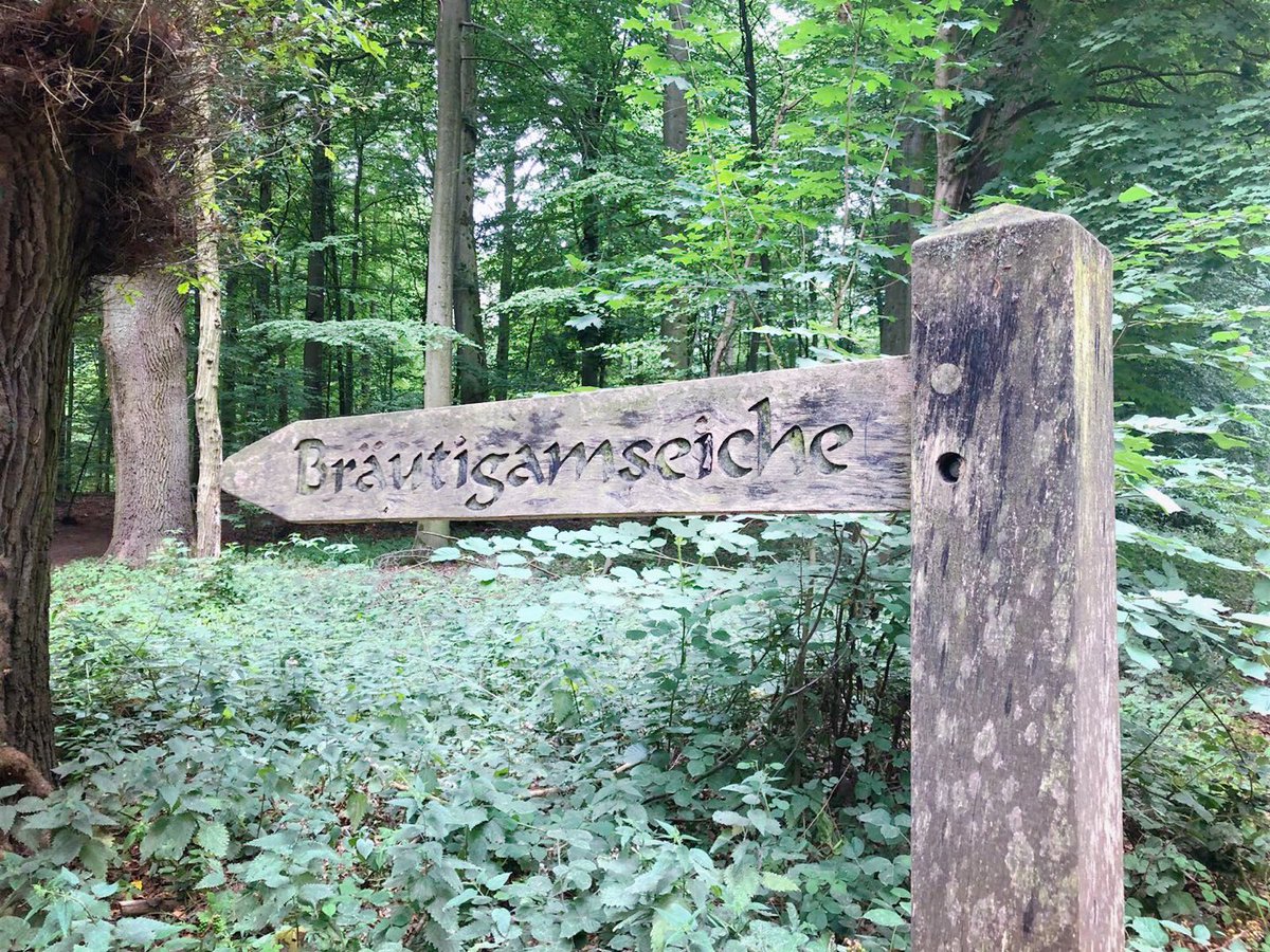 KEPeralta_'s tweet photo. Walking through Eutin’s streets and secrets. Caminando a través de las calles y los secretos de Eutin. #NewStory #ResearchAndWrite #Inspired #LegendsOfNorthernGermany https://t.co/SasUlUrK0Q