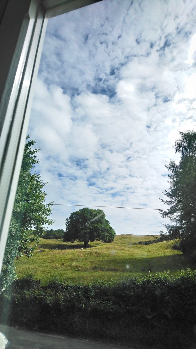 filmonbrain's tweet photo. We're up in the hills of Longsleddle today, shooting with @Elliotbaxter0 and @nyc_kuba
#filmonthebrain #filmmaking #film #actors #shortfilm https://t.co/uSdOybAKn9
