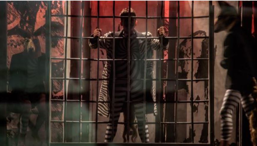 L'Istituto Penale Minorile di #Bologna tornerà in scena in un nuovo spazio con “Bellinda e bestia”,dal 5 all’8 settembre. Uno spettacolo di teatro/danza d'impatto, grazie a suggestive illustrazioni e una narrazione dinamica. Iscriviti entro fine luglio! urly.it/3d1s