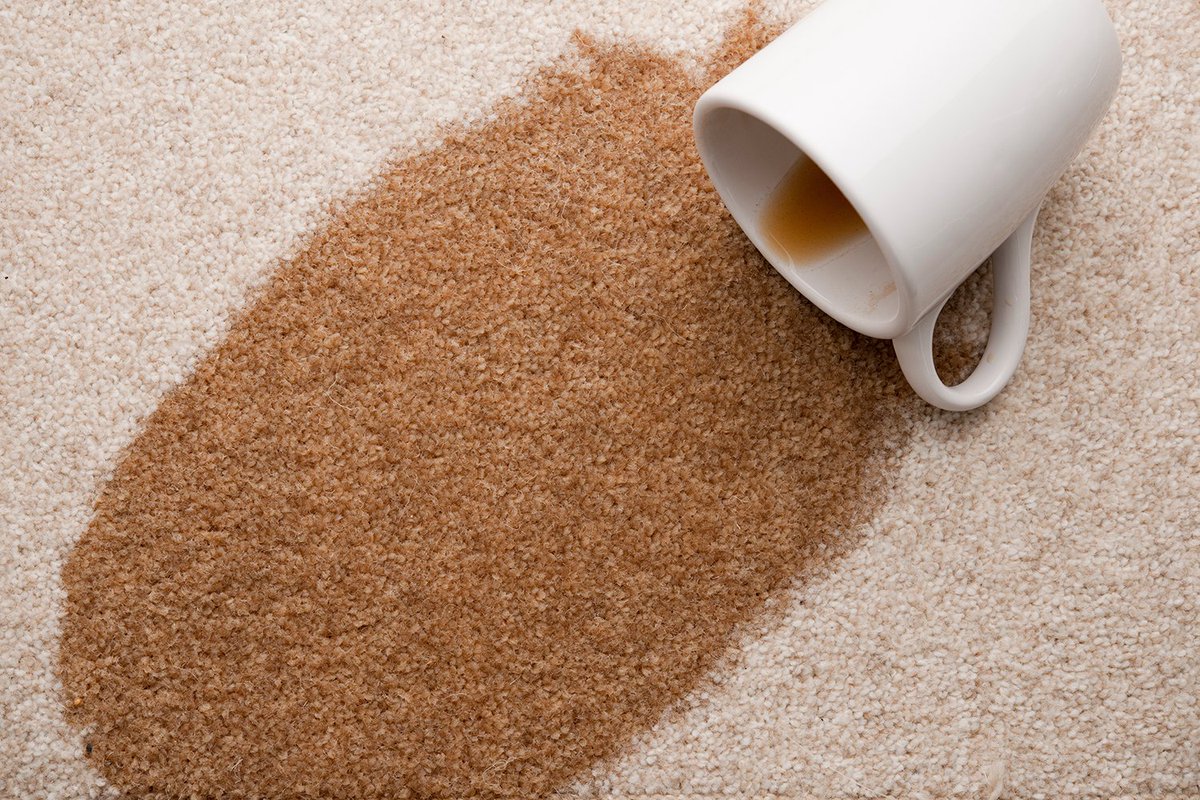 Our no-stain technology prevents food and drink spillage from entering the pile fibre so that quick cleaning can remove the spill before it stains. View our Stainfree range goo.gl/NWyxaw #lifestyle #carpet #interiordesign #flooring #stain #homedecor