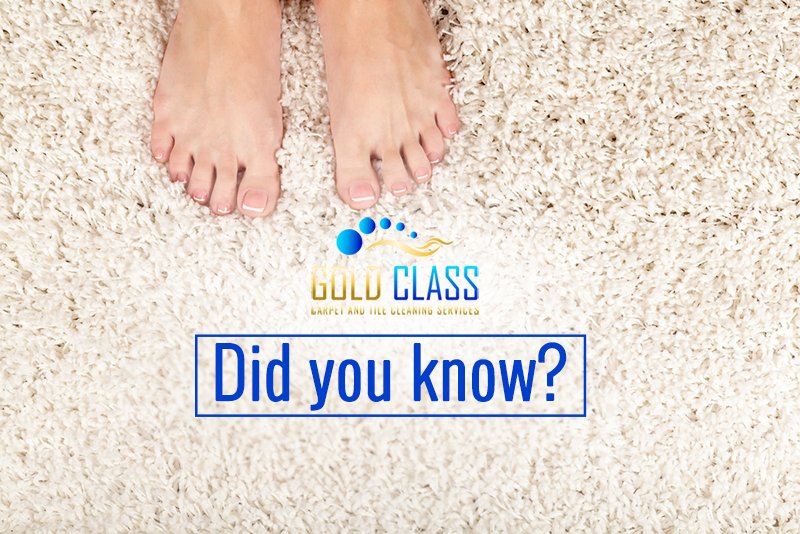 GoldClassCleani's tweet photo. Cleaning the carpet at least twice a year will increase its life expectancy, and save you the money for a replacement carpet in the long run.
https://t.co/7KN3jQkWlO
#carpetcleaning #upholsterycleaning #goldcoast #cleaningservice https://t.co/EpXb5ULgjp