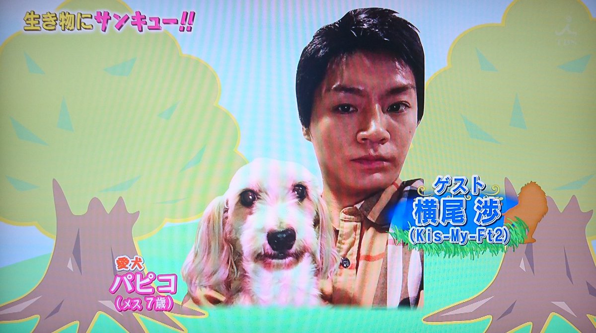 生き物にサンキューで 横尾 が話題に 5ページ目 トレンドアットtv 生き物にサンキューで 横尾 が話題に 5ページ目 トレンドアットtv