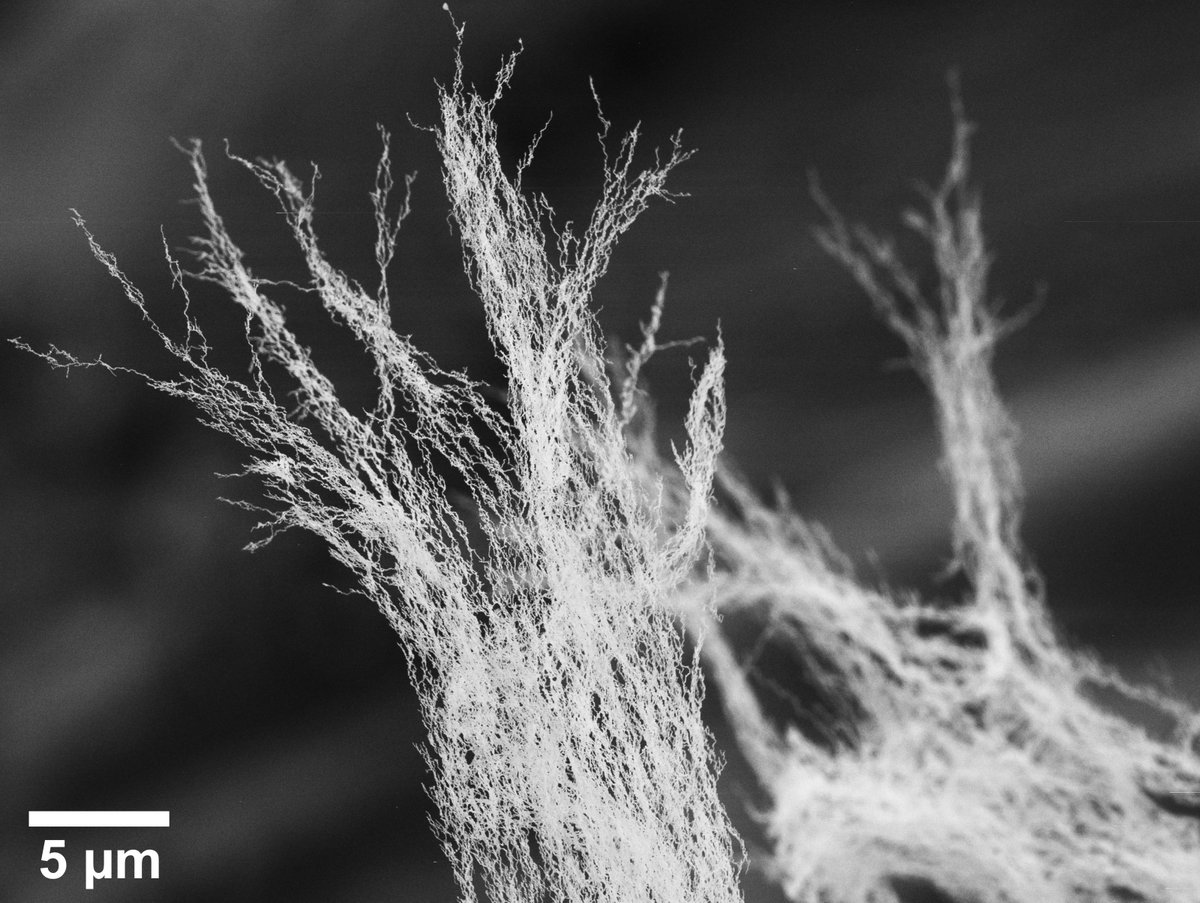 liu_universitet's tweet photo. De gör vätgas av vatten med hjälp av nanostrukturer i järn
https://t.co/MAeTU0wYhY 
#LiU #bränsleceller #nanotechnology #nano https://t.co/Qxbkk67yap