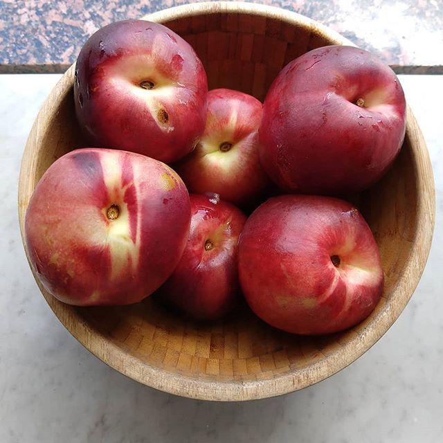 kiba__ttv's tweet photo. White nectarines π my lunch was so good. Eat them with the skin on and you'll see amazing things π #rawfood #bowl #fruitbowl #fruitlover #fruitsberriesandmelons #fruitarian #fruitarianism #frutta #fruttariani #italy #palermo #hotseason #peaches #rawvβ¦ https://t.co/bXVITpSt7W https://t.co/1KbGpWdoKz