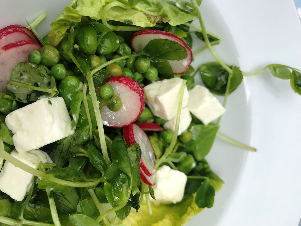 tomschophouse's tweet photo. Our Salad is the perfect dish to add a little colour to your day! With Fettle cheese, pea shoots, beans, radish all dressed with vinaigrette is a lunch dish too difficult to turn down!😍 Check out our full lunch menu here: https://t.co/bowujcwhik and call to book:0161 832 2245 📞 https://t.co/v59ysWEyTB