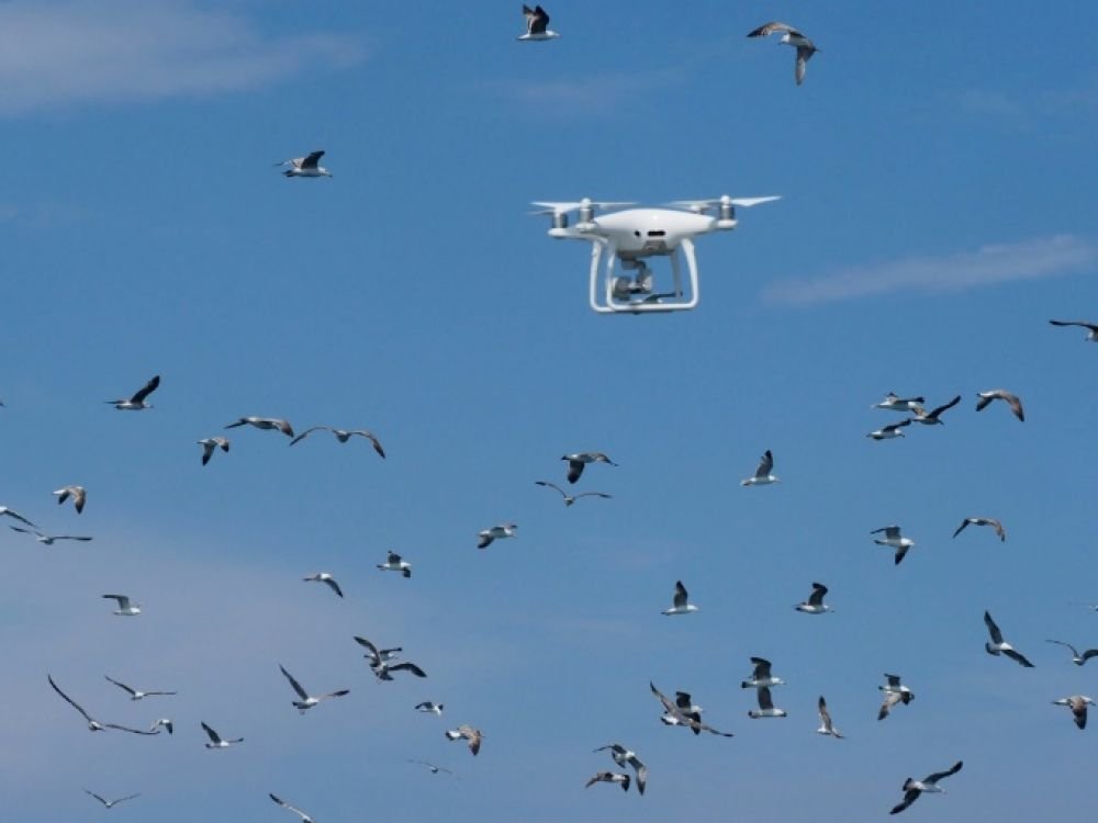 Nouveaux « permis », immatriculations: les petites révolutions du drone civil. 

A partir du 1er septembre 2018, les pilotes amateurs devront suivre dès 14 ans une formation obligatoire avec examen à la clé ( pour drone de plus de 800g ).

challenges.fr/high-tech/nouv…