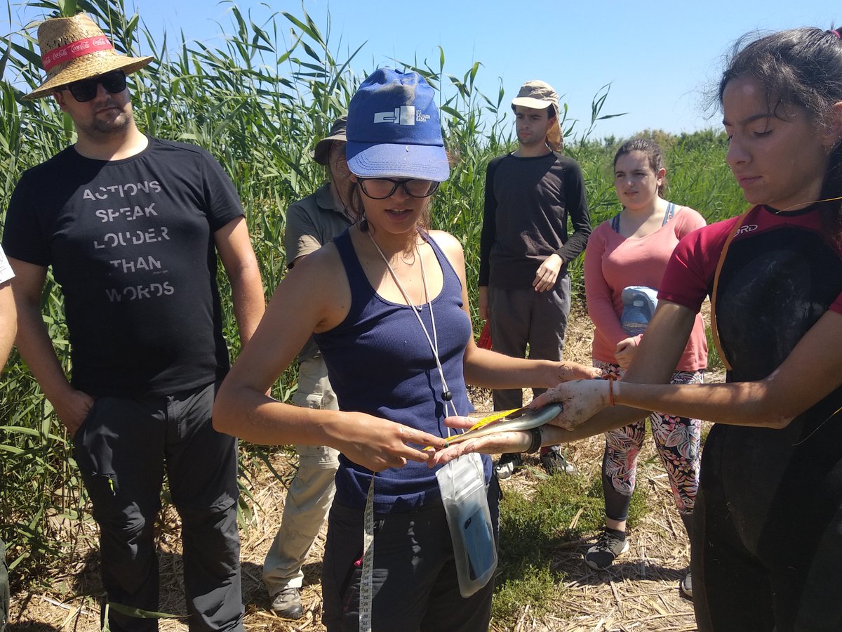 FGlobalNature's tweet photo. A comienzos de este mes realizamos unas jornadas para intercambiar conocimientos y experiencias entre los socios del proyecto #EcoSustain 👇 https://t.co/Rx3ujN5xYx