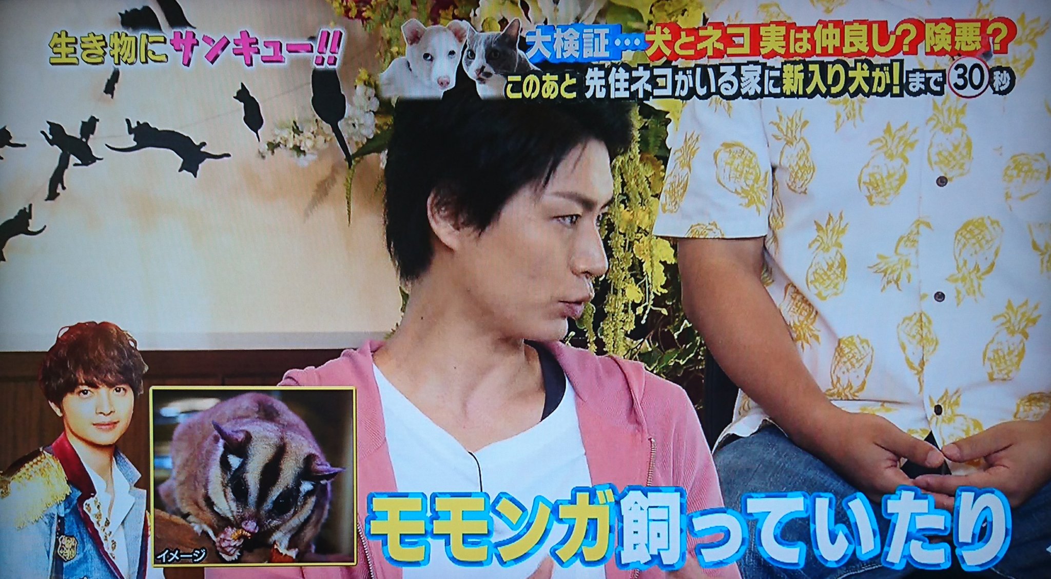 れしぁ 他に動物飼ってるジャニーズ聞かれてキスマイ全員 犬飼ってる事と玉がかつてモモンガ飼ってる事を話して売り込み キスマイ全員きてもらおうよ って言ってもらえた ぜひ呼んで下さいー 生き物にサンキュー れしぁ 他に動物飼ってるジャニーズ聞かれてキスマイ全員 犬飼ってる事と玉がかつてモモンガ飼ってる事を話して売り込み キスマイ全員きてもらおうよ って言ってもらえた ぜひ呼んで下さいー 生き物にサンキュー