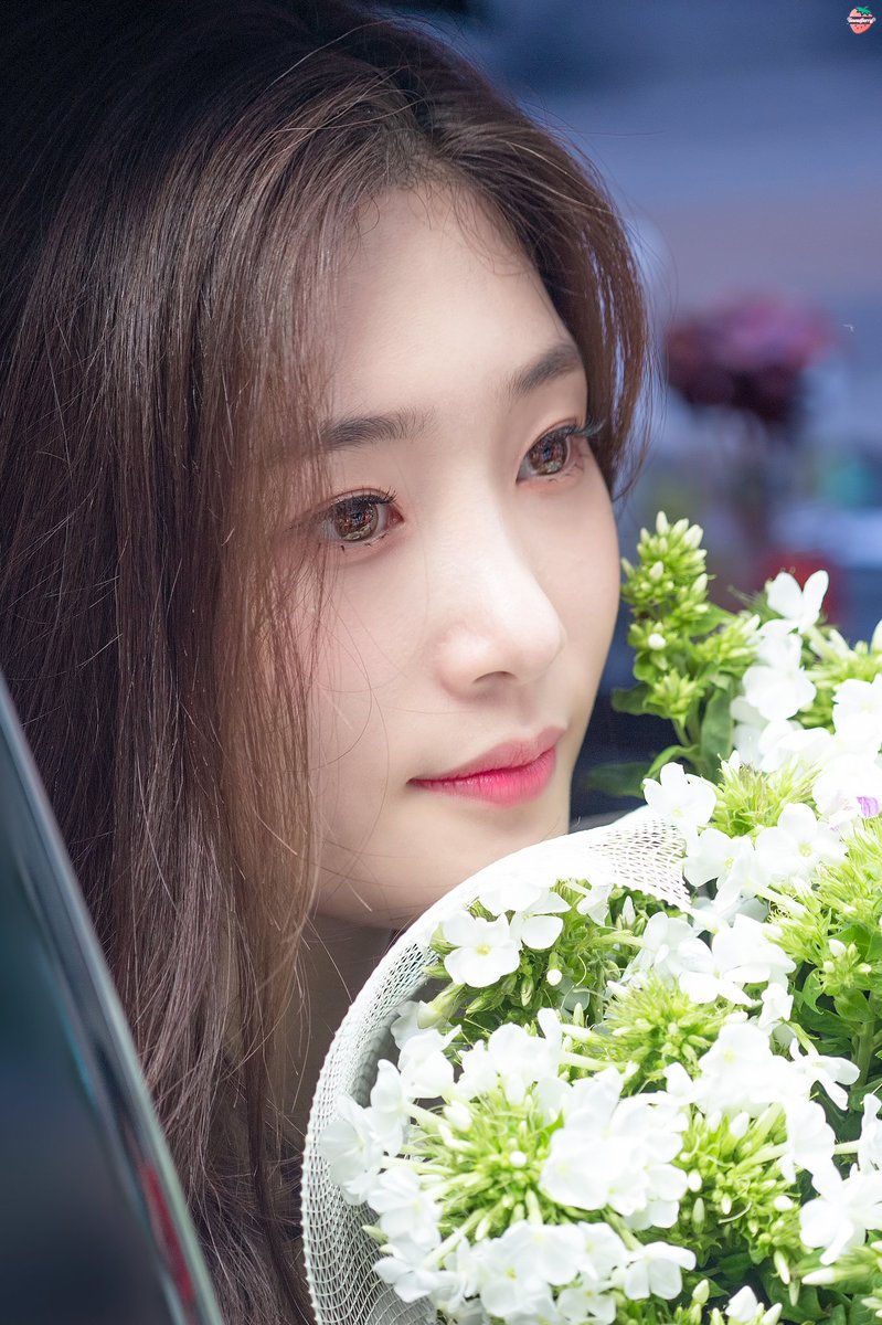snowberry_1201's tweet photo. 180715 인기가요 채연 퇴근길

그냥 일상이 화보야...

#다이아 #채연 #DIA #CHAEYEON
@dia_official https://t.co/cyQwStmpl8