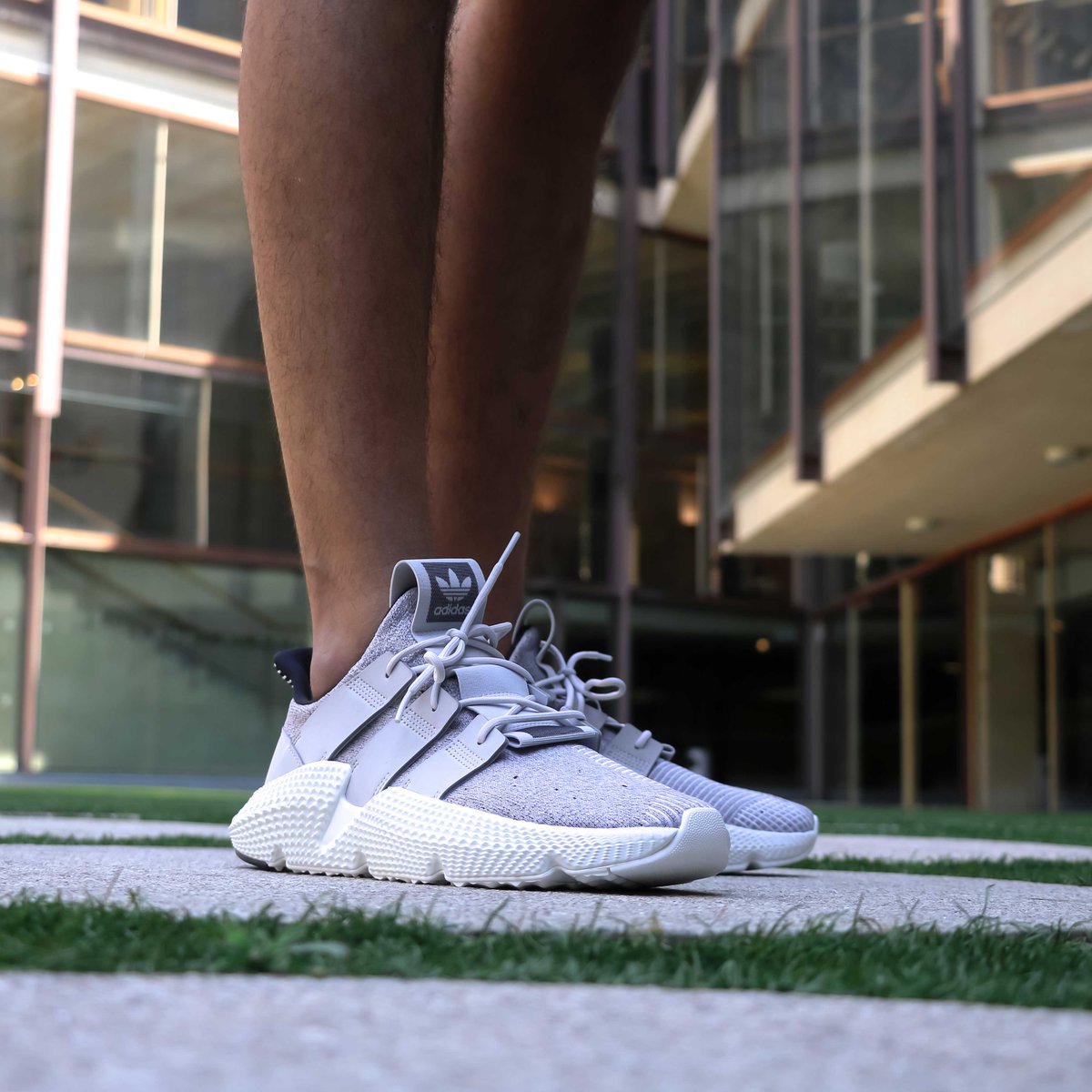 adidas prophere white on feet