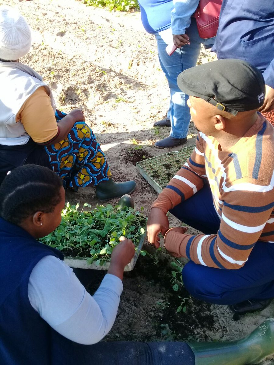 WestCoastCol's tweet photo. Our Atlantis Campus Main Building Students know it is all about going GREEN.This year our students are assisting Camp Hill Village in Atlantis by doing some gardening, planting and paving as their contribution towards Mandela Day Celebrations.#BeTheLegacy #WCCCares #MadibaForever https://t.co/BX5oyE1wCd