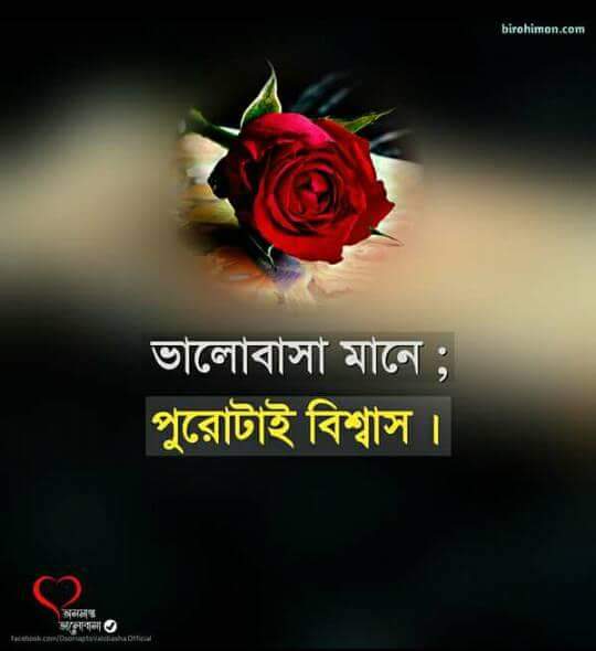 muhammadriad8's tweet photo. it's rights https://t.co/Sp8gYMDS8o