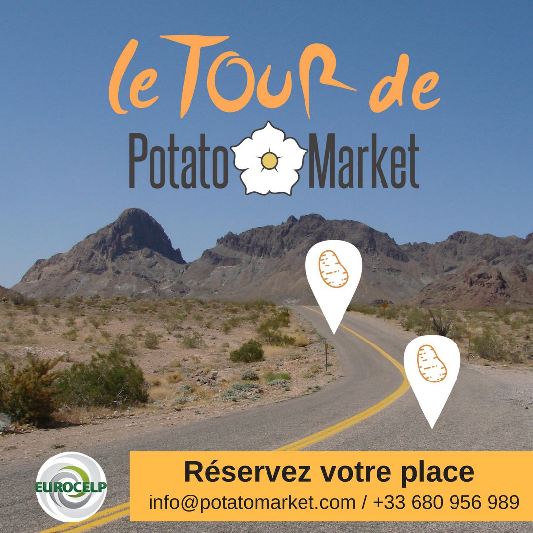 potato_market's tweet photo. Nous sommes ravis d'annoncer qu'à partir de #septembre PotatoMarket et #Eurocelp vont commencer un tour par la #France pour expliques à les professionnels du secteur de la #pommedeterre le fonctionnement de la plate-forme qui permet transactions sans intermédiaires. #agriculteurs https://t.co/px4p8c5akr