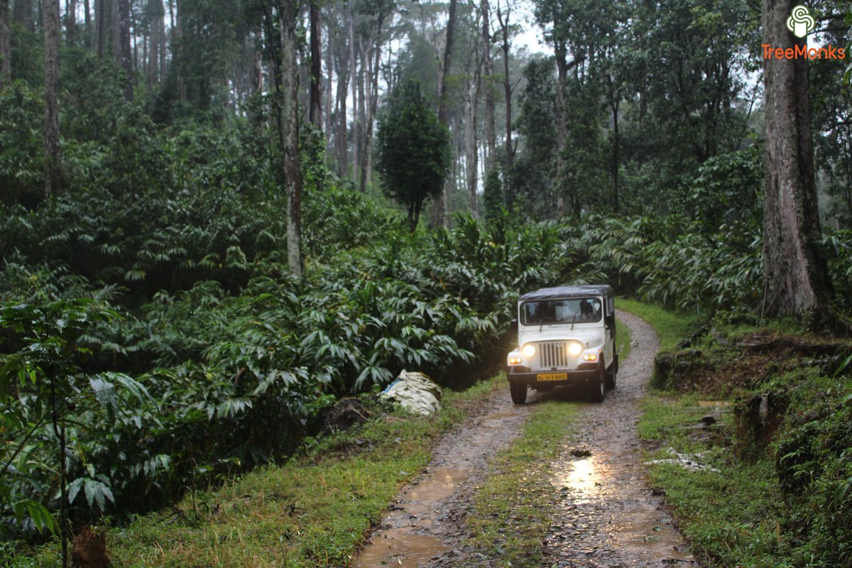 Adventurous Jeep Safari through the tricky and rough terrains of Munnar!
Enjoy the ride with expert drivers with lots of stories on the go!
For Jeep Safari bookings, call +919447960022.
#jeepsafari #Safari #jeeplife #ride #DriveSafe #Drive #plantationtrails #ttot #munnar #travel