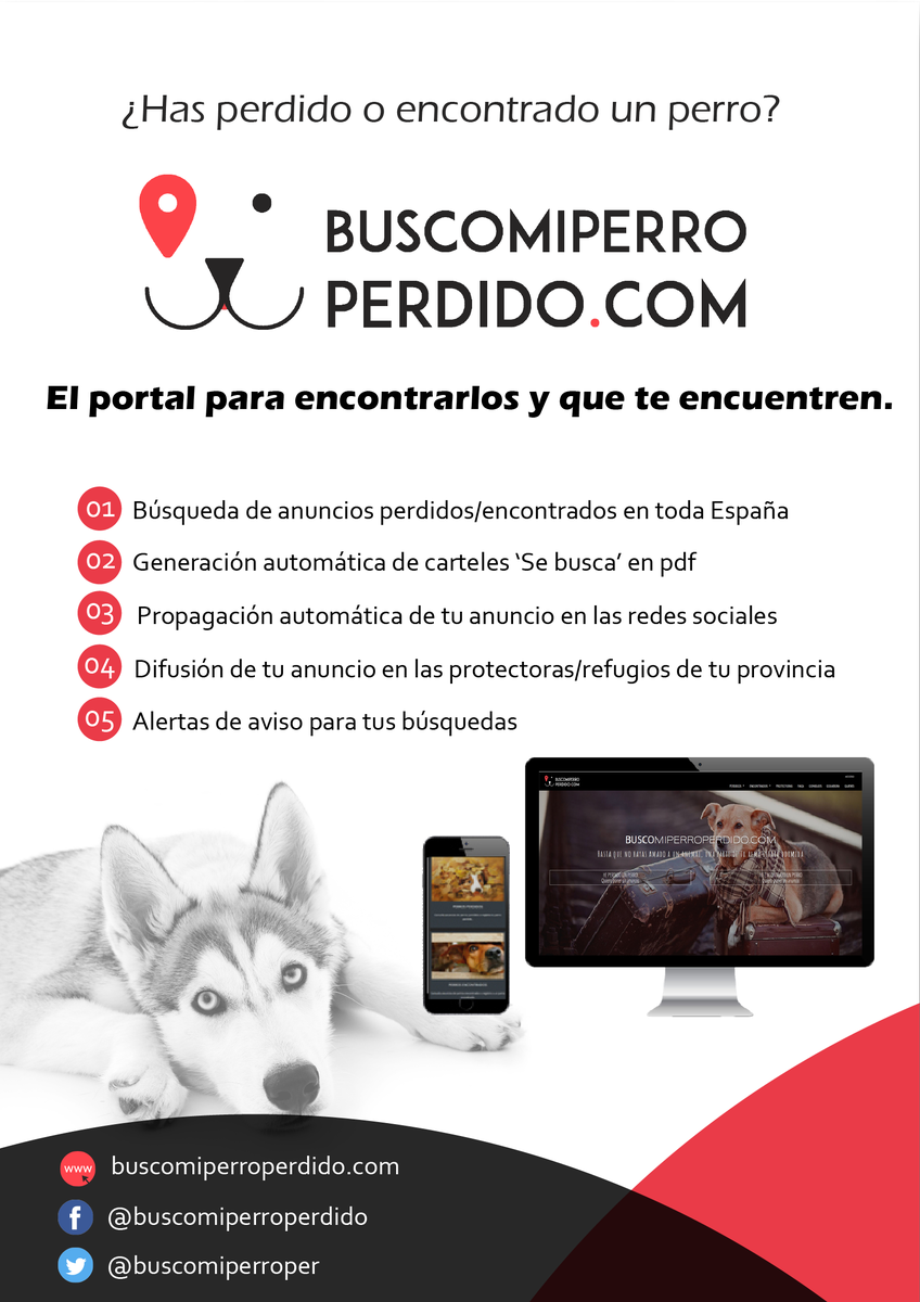 Nuevo portal para encontrar perros perdidos en ESPAÑA con multitud de funcionalidades para facilitar el trabajo buscomiperroperdido.com
