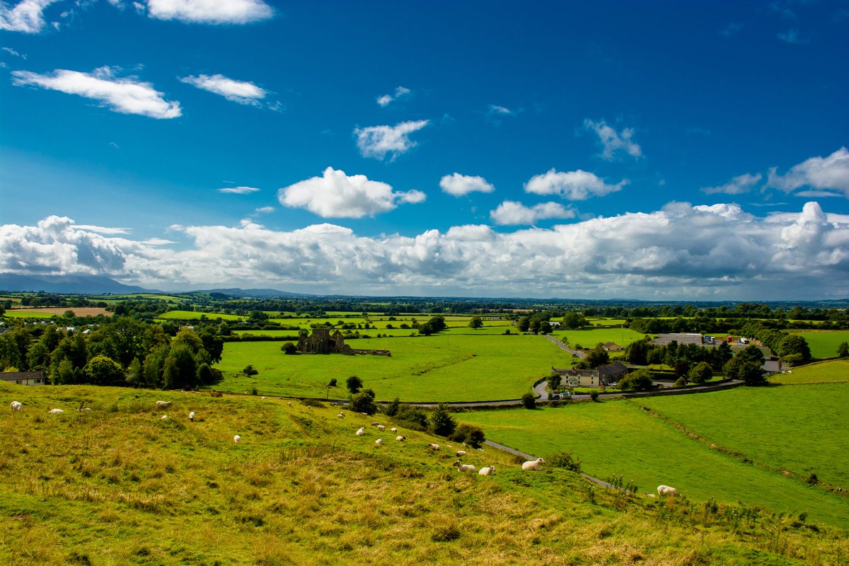 TalamhAwards's tweet photo. Talamh Awards 2018 - Submissions still open - It has come to our attention that some people have had difficulty submitting their entries via our web form. Read on: https://t.co/4MAewokysF @TheRDS  @CLDC_  @teagasc  #TalamhAwards2018 #SmartFarming #SmartAgriculture https://t.co/uPREYFEZwG