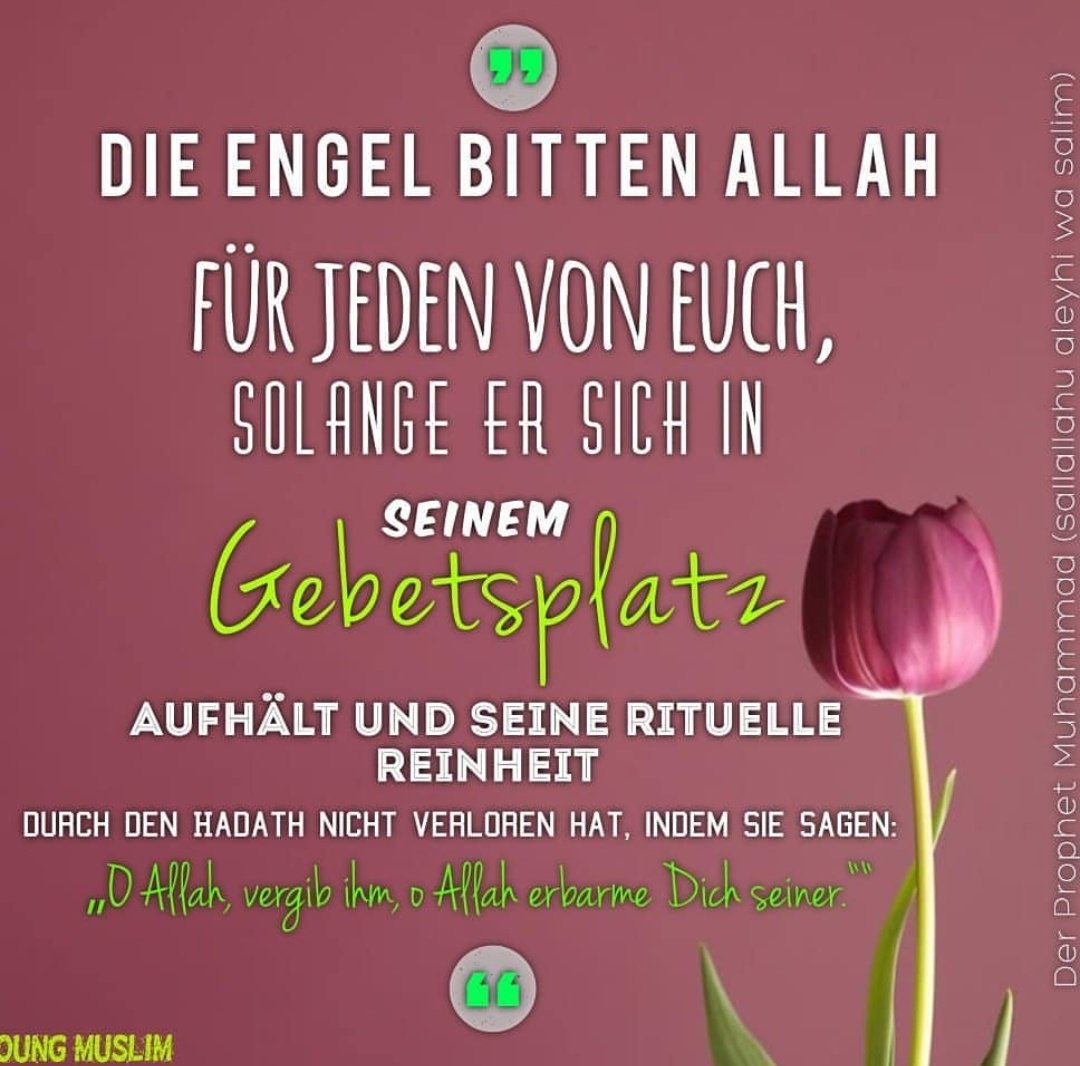 YMuslimWorld's tweet photo. #Selbstbewusst #Lebendig #Muslimisch #islam #allah #quran #young #muslim #pray #youngmuslim #world #twitter #instagram #snapchat #telegram #facebook #youtube #engel https://t.co/NPUMNipyjD