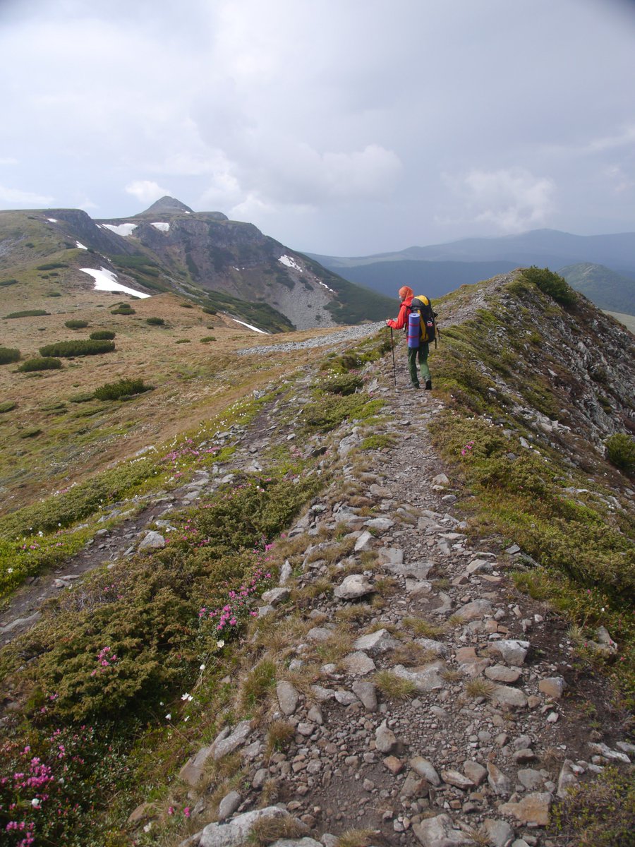 Luci_Ana21's tweet photo. Finally reaching Negoiu Unguresc , #Calimani #Mountains , #Romania https://t.co/jC1AmkmUpT