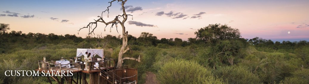 GoExploreAfrica's tweet photo. Join us on one of our escorted safaris where we will show you some of the best parts that Africa has to offer: https://t.co/kFKBn7aPvd https://t.co/4enZqEdWvU