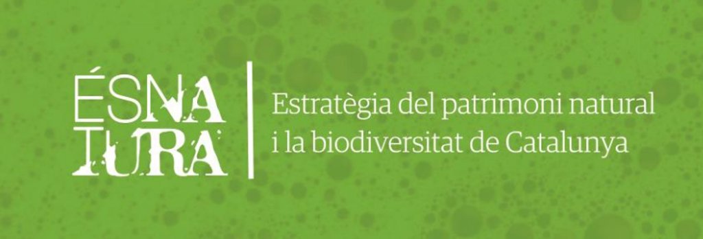 Transició Ecològica tweet media