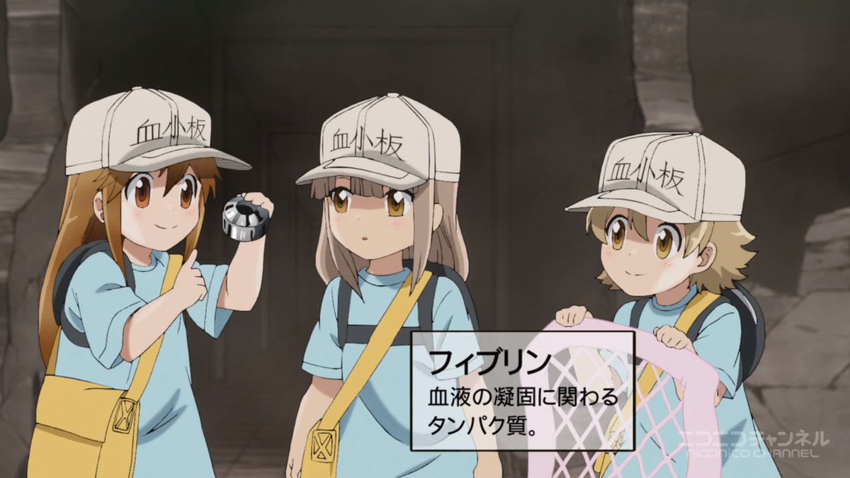 はたらく細胞WHITE +はたらく細胞おくすり +はたらく血小板ちゃん