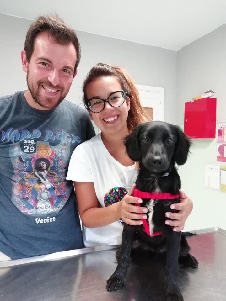 Abandono_Cero's tweet image. LOKI es uno de los muchos del Albergue Insular de #GranCanaria con suerte que consiguieron familia a raíz del evento #animundo hace dos fines de semana

Hoy nos hacen llegar esta foto desde el albergue por el que han pasado para ponerle sus vacunas Enhorabuena familia ❤️