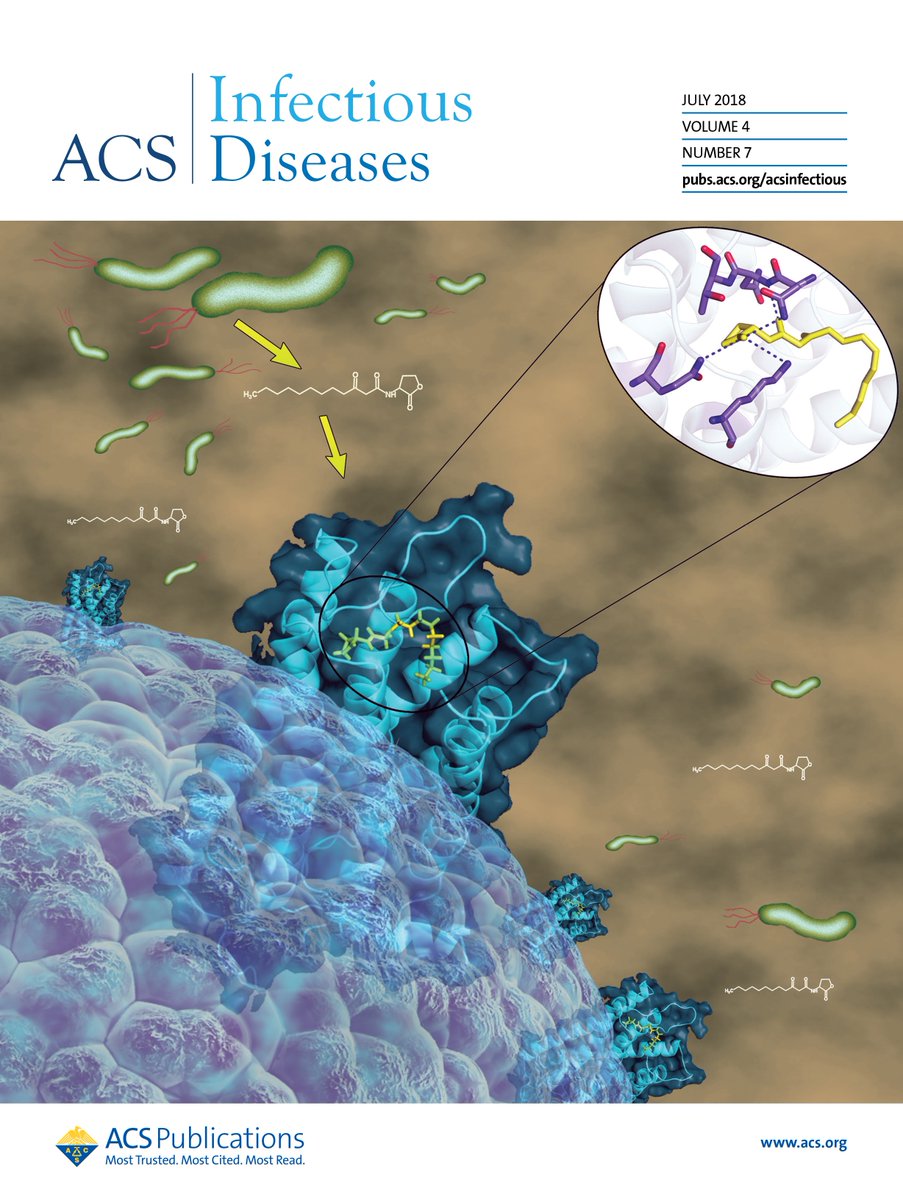 ACS_Infectious's tweet photo. Don't forget to check out the new issue with cover art by Chelikani @Chelikanilab and colleagues who report their characterization of the binding sites for Bacterial acyl homoserine lactones (AHLs) on human bitter taste receptors: 
https://t.co/6NPL9A7u57 https://t.co/1UgAJ4JyeC